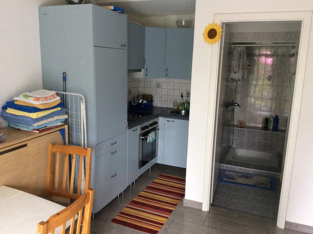 Apartment Alina Sigirino Εξωτερικό φωτογραφία